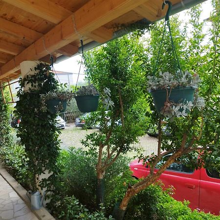 Depadansa Lisette Ξενοδοχείο Crikvenica Εξωτερικό φωτογραφία
