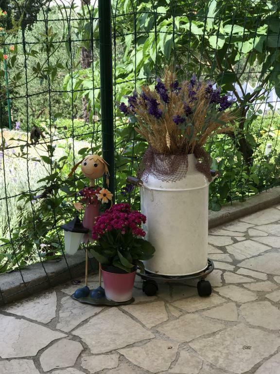 Depadansa Lisette Ξενοδοχείο Crikvenica Εξωτερικό φωτογραφία